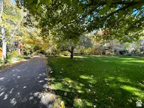 Expansive green lawn with mature trees and a paved driveway