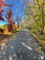 Paved path bordered by mature trees with autumnal foliage