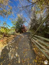 Paved pathway bordered by a wooden fence, surrounded by mature deciduous trees