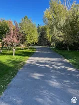 Paved driveway bordered by mature trees and manicured lawns