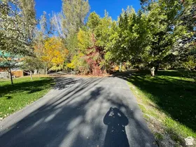 Paved driveway surrounded by mature trees, green lawn, and autumnal foliage