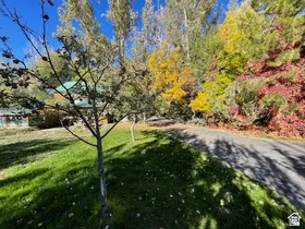 Paved driveway bordered by mature trees with seasonal foliage and a manicured lawn