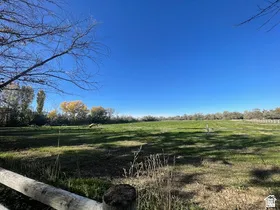 Expansive green field under a clear blue sky, bordered by natural fencing