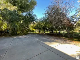 Paved drive with mature trees and a wooden fence