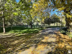 Paved driveway with dappled sunlight, surrounded by mature trees featuring seasonal foliage