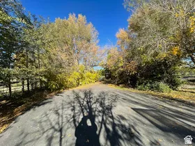 Paved drive bordered by mature deciduous trees and a visible fence line