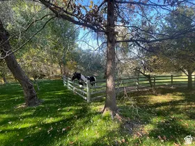 Expansive grassy grounds featuring mature trees and a rustic wood fence