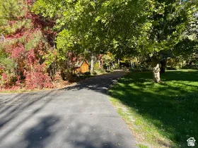 Paved driveway bordered by mature trees with varied foliage
