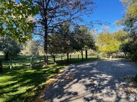 Paved driveway surrounded by mature trees and a manicured lawn, featuring a rustic wooden fence