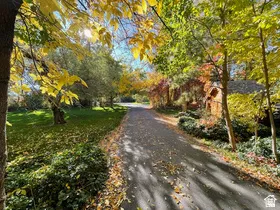 Paved driveway bordered by mature trees and lush groundcover