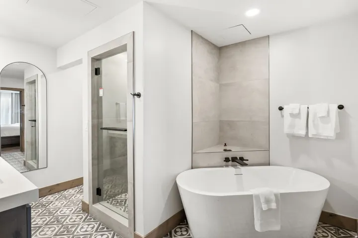 Modern bathroom featuring a freestanding soaking tub, a frameless glass shower enclosure, and intricate patterned floor tiles