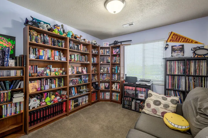 Carpeted room featuring extensive built-in shelving, a large window with blinds, and a flush mount ceiling light