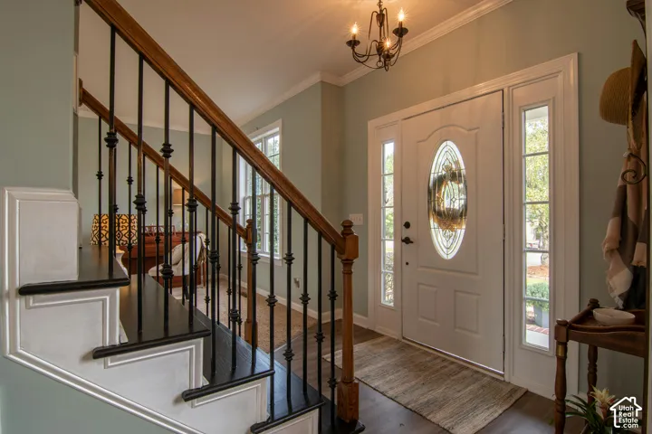 Entryway featuring a white exterior door with oval glass insert, dual sidelights, staircase with wood handrail and iron balusters, dark-finish stair treads, and crown molding