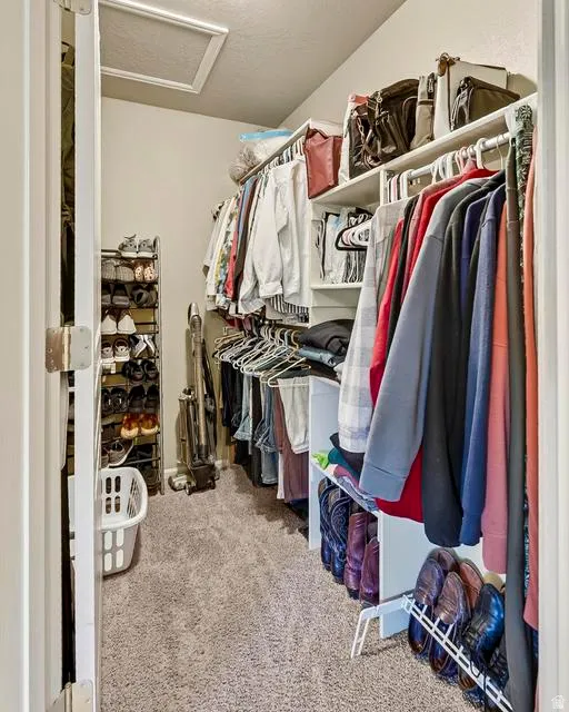 Walk-in closet featuring carpet flooring and white built-in shelving