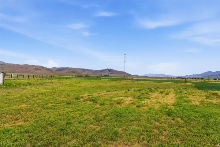 Expansive open field with green ground cover and distant mountain range