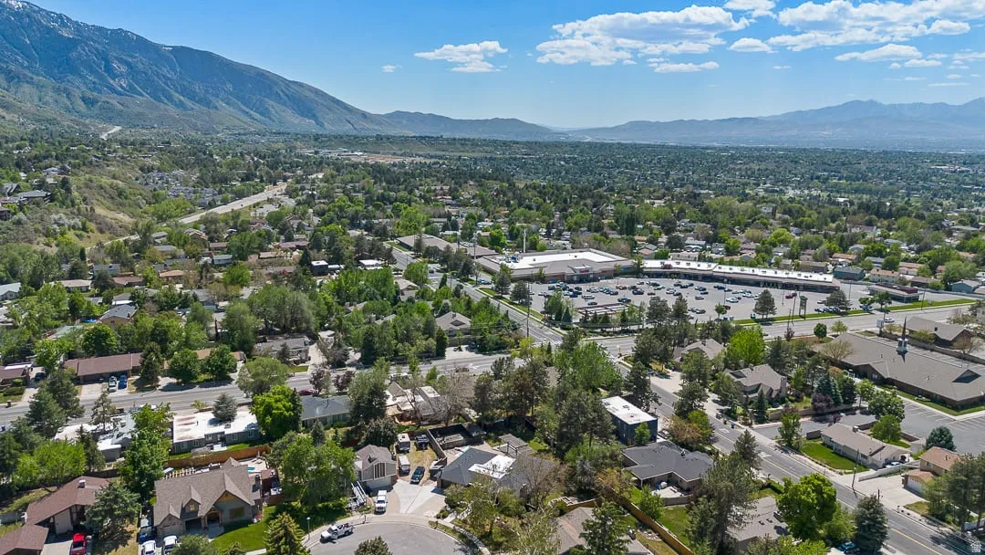 Aerial perspective showcasing a residential area with varied rooflines and mature trees
