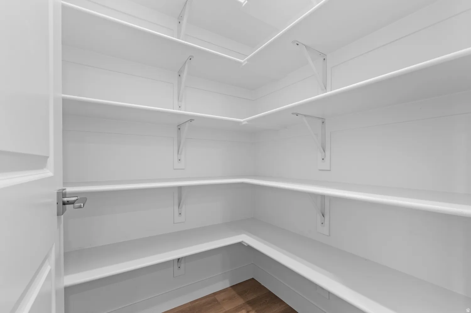 Walk-in pantry featuring white shelving, wood-finish flooring, a white paneled door, and a satin nickel door handle
