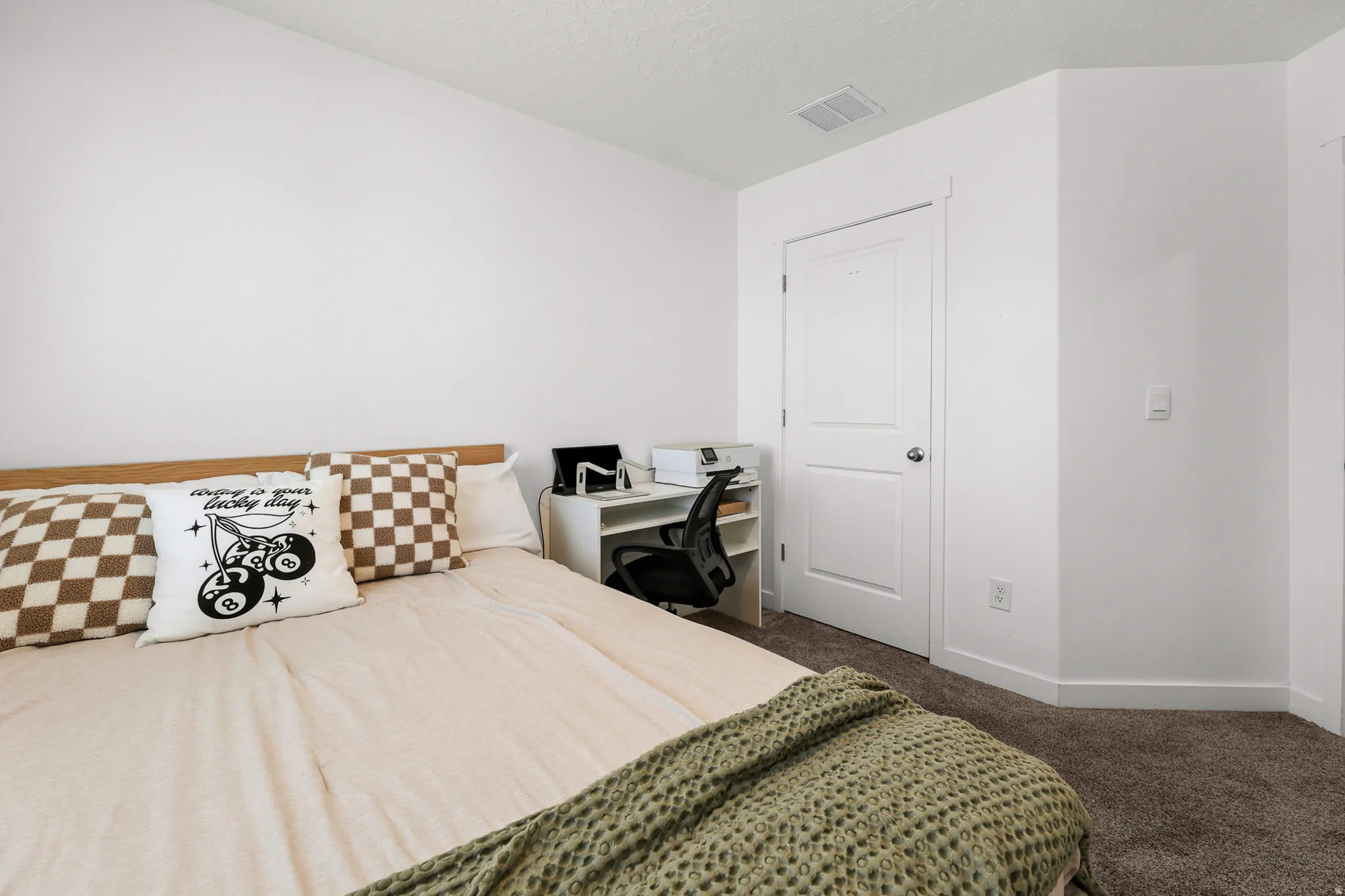 White painted walls, neutral carpet, and a white interior door