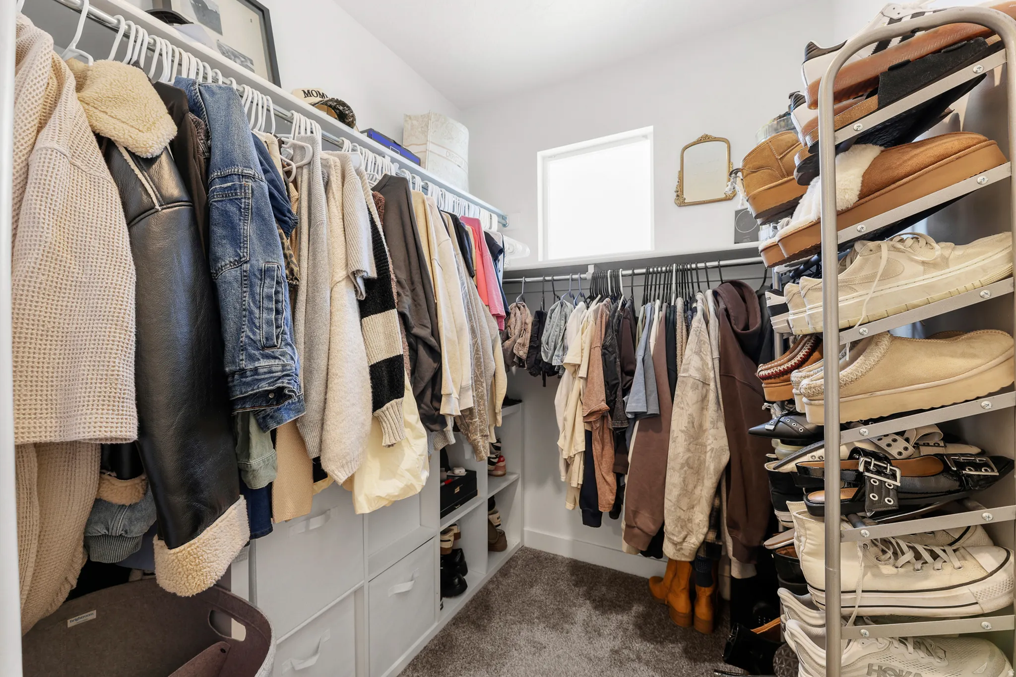 Carpeted walk-in closet featuring white walls, a window, and built-in closet organization systems