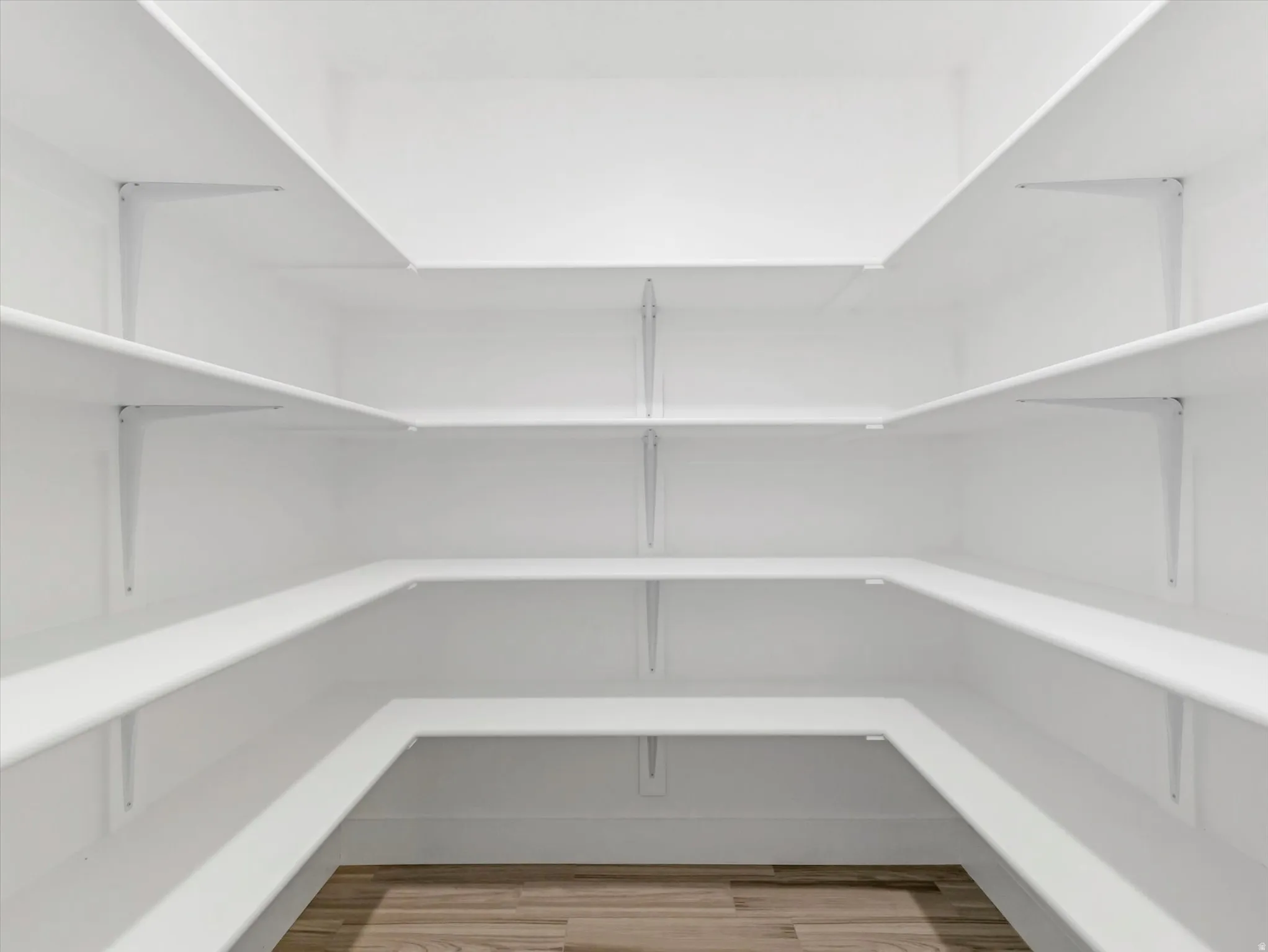Walk-in pantry featuring expansive shelving, white walls, and wood-finish flooring