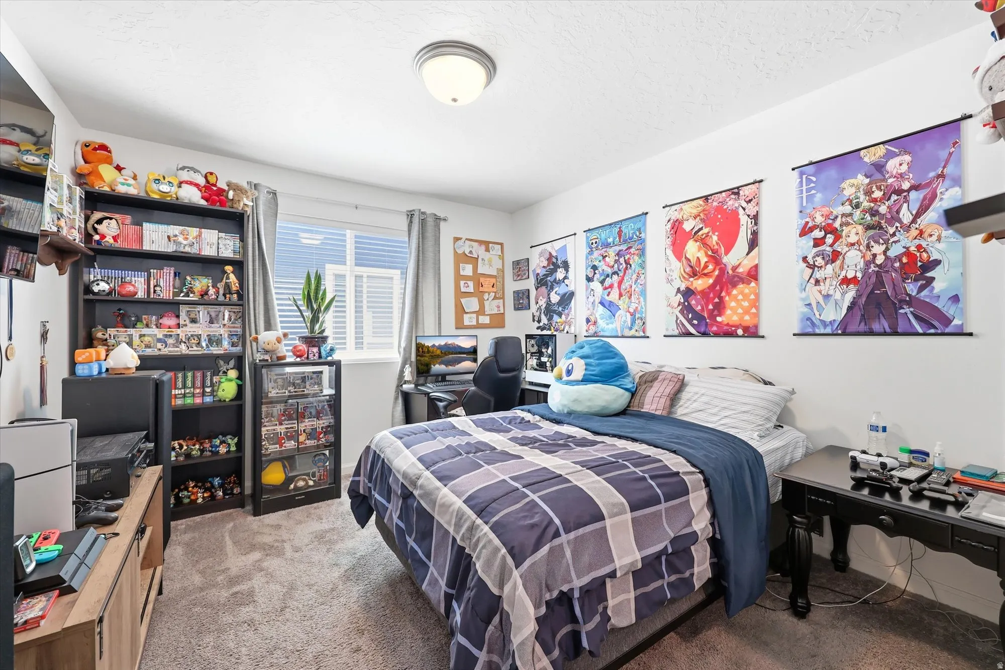 Carpeted room featuring a double window with blinds, a ceiling-mounted light fixture, and built-in shelving