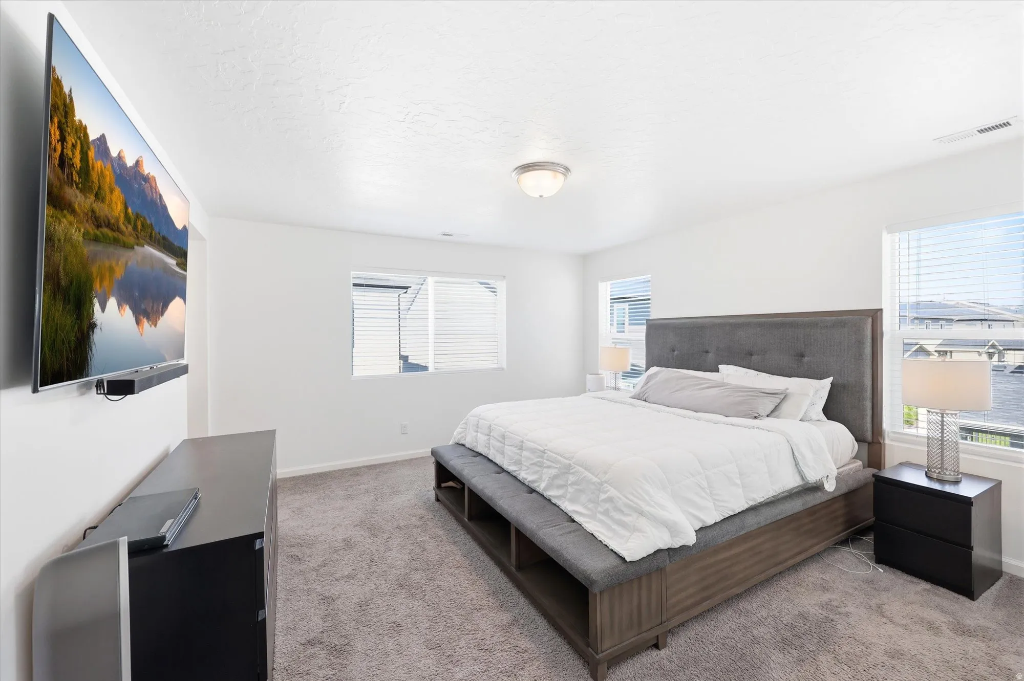 Spacious bedroom featuring plush gray carpeting, white painted walls, and a ceiling-mounted light fixture