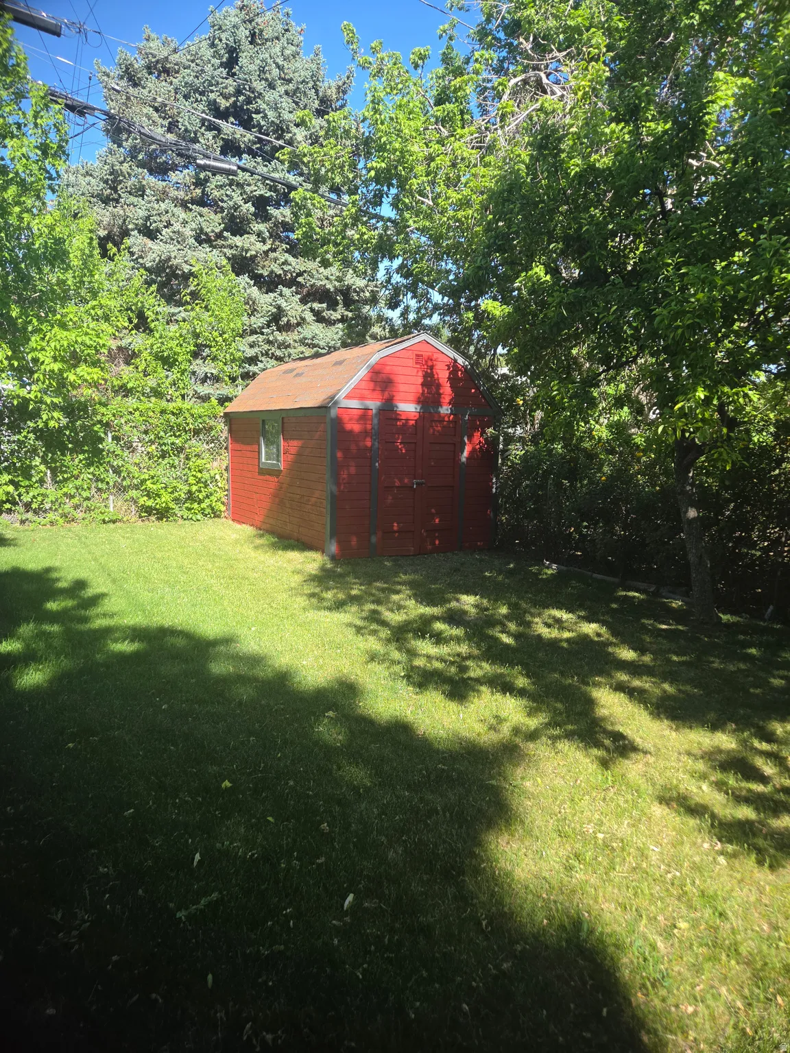 Red storage shed with a shingled roof and a single window