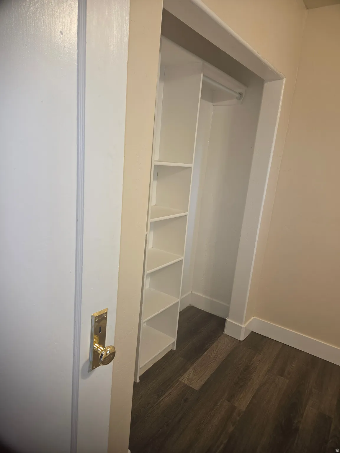 Built-in closet shelving and hanging rod provide storage
