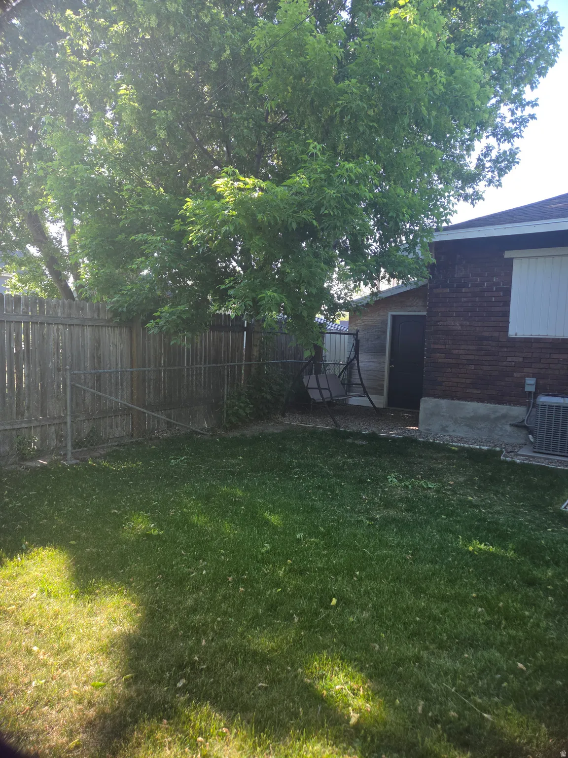 Expansive fenced yard with mature tree providing natural shade