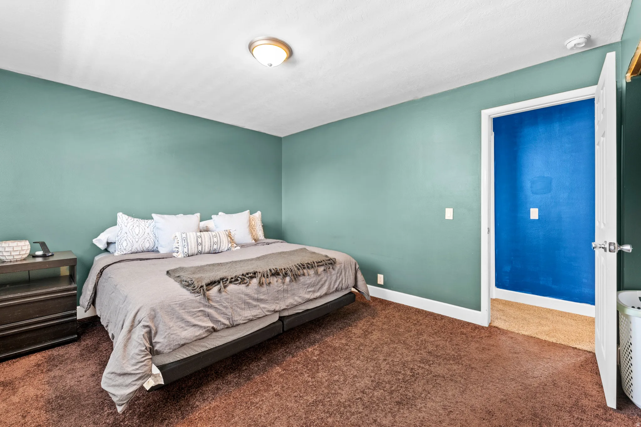 Spacious interior with teal walls and plush brown carpeting, featuring a white door frame and a surface-mounted ceiling light