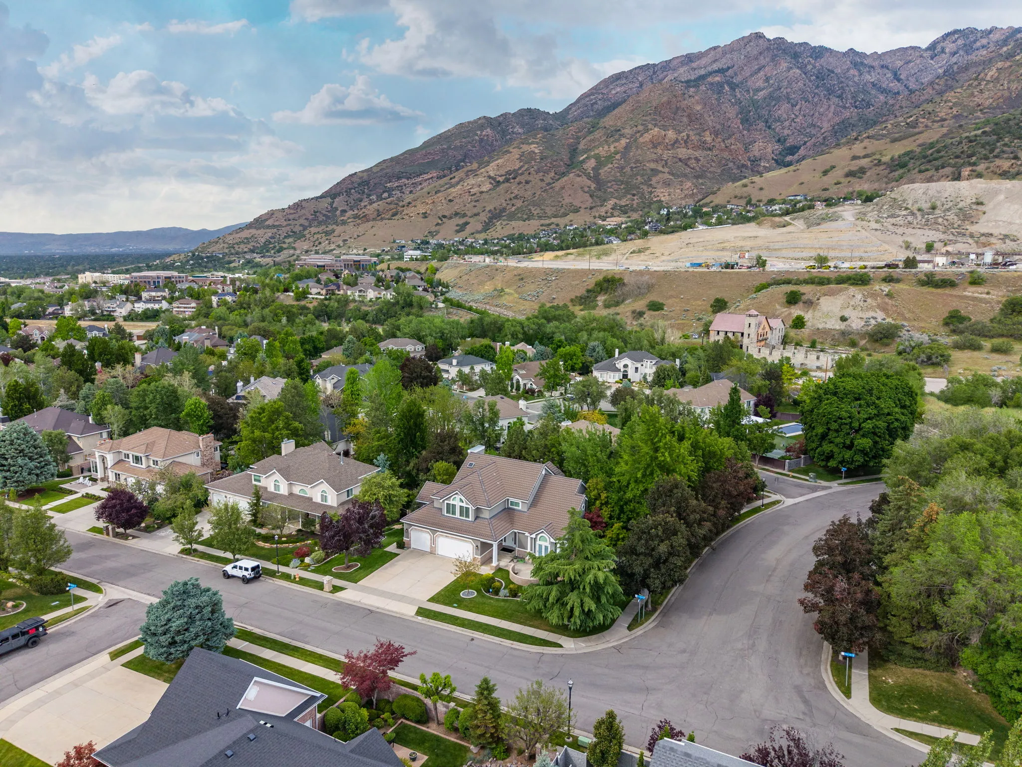 Residential neighborhood featuring mature trees and a paved street