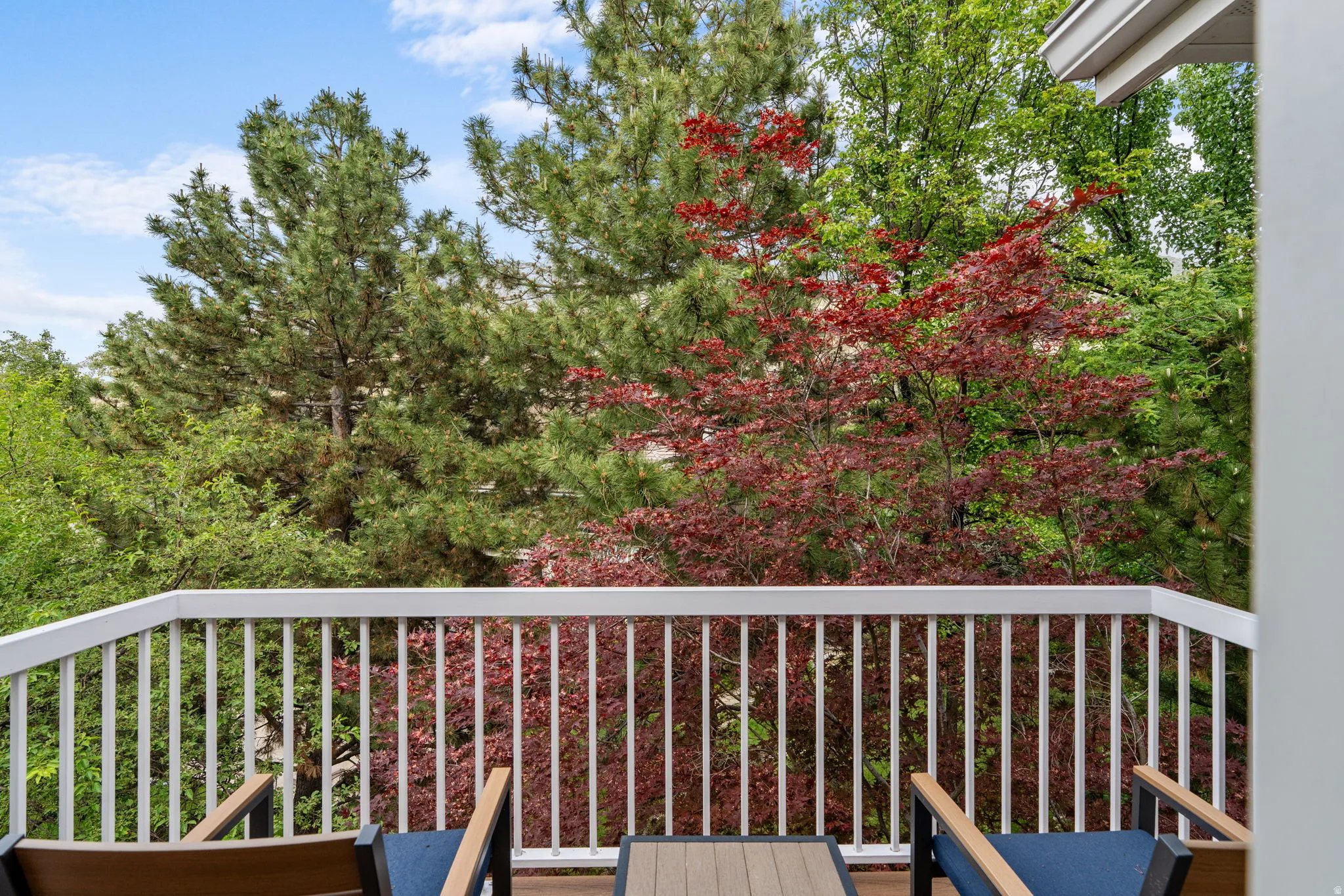 Master bedroom outdoor deck space with white railing, Trex flooring, and mature tree canopy
