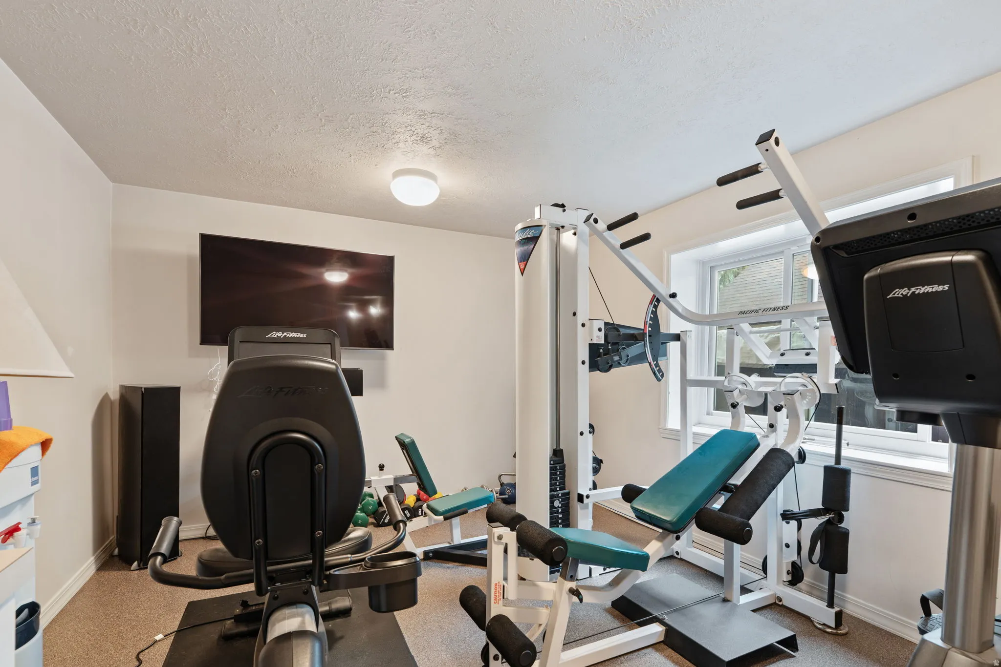 Dedicated fitness space featuring neutral wall tones, textured carpet flooring, and a wall-mounted television