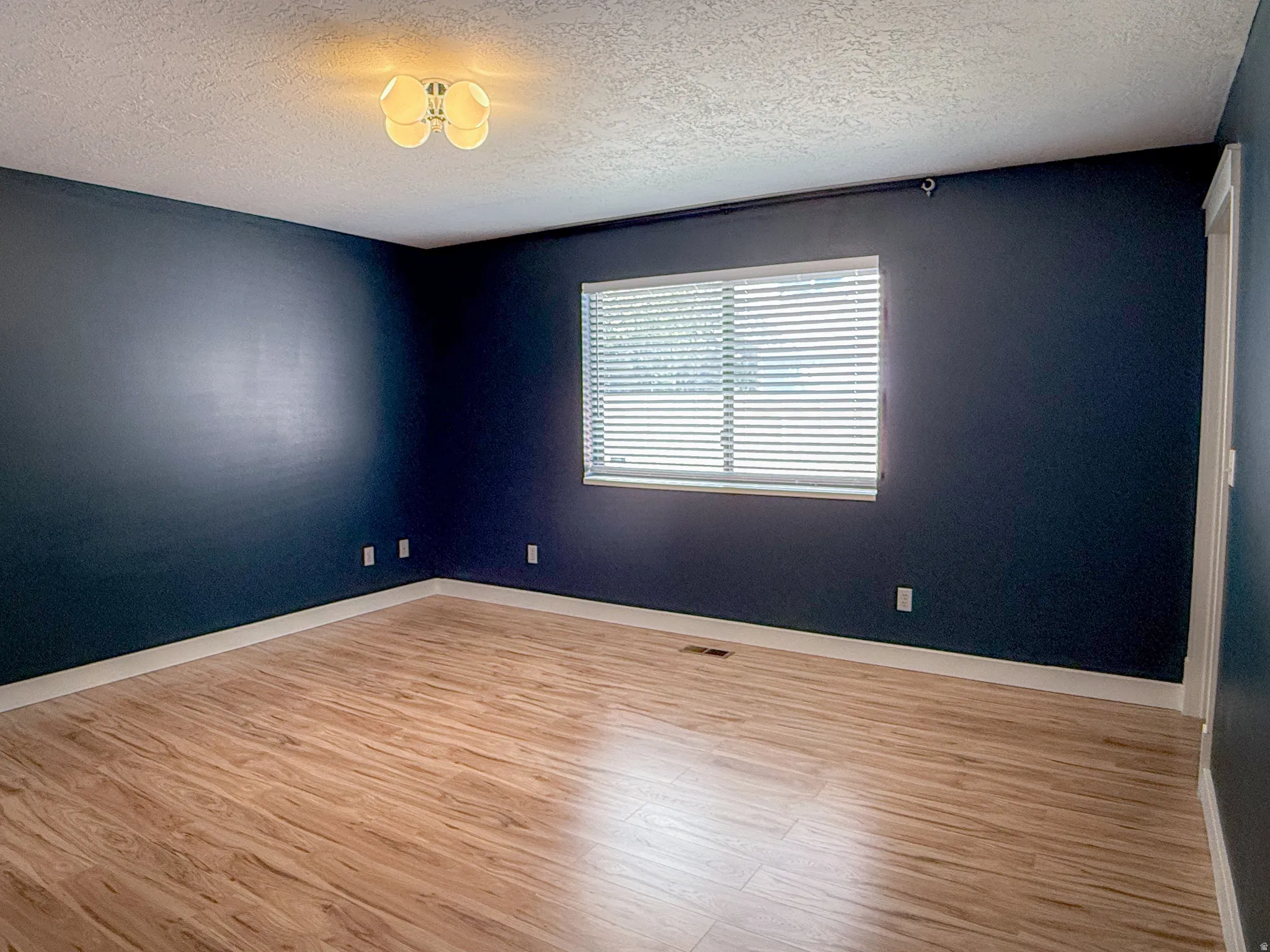 Room featuring wood-finish flooring, dark blue painted walls, a single window with blinds, and a ceiling-mounted light fixture