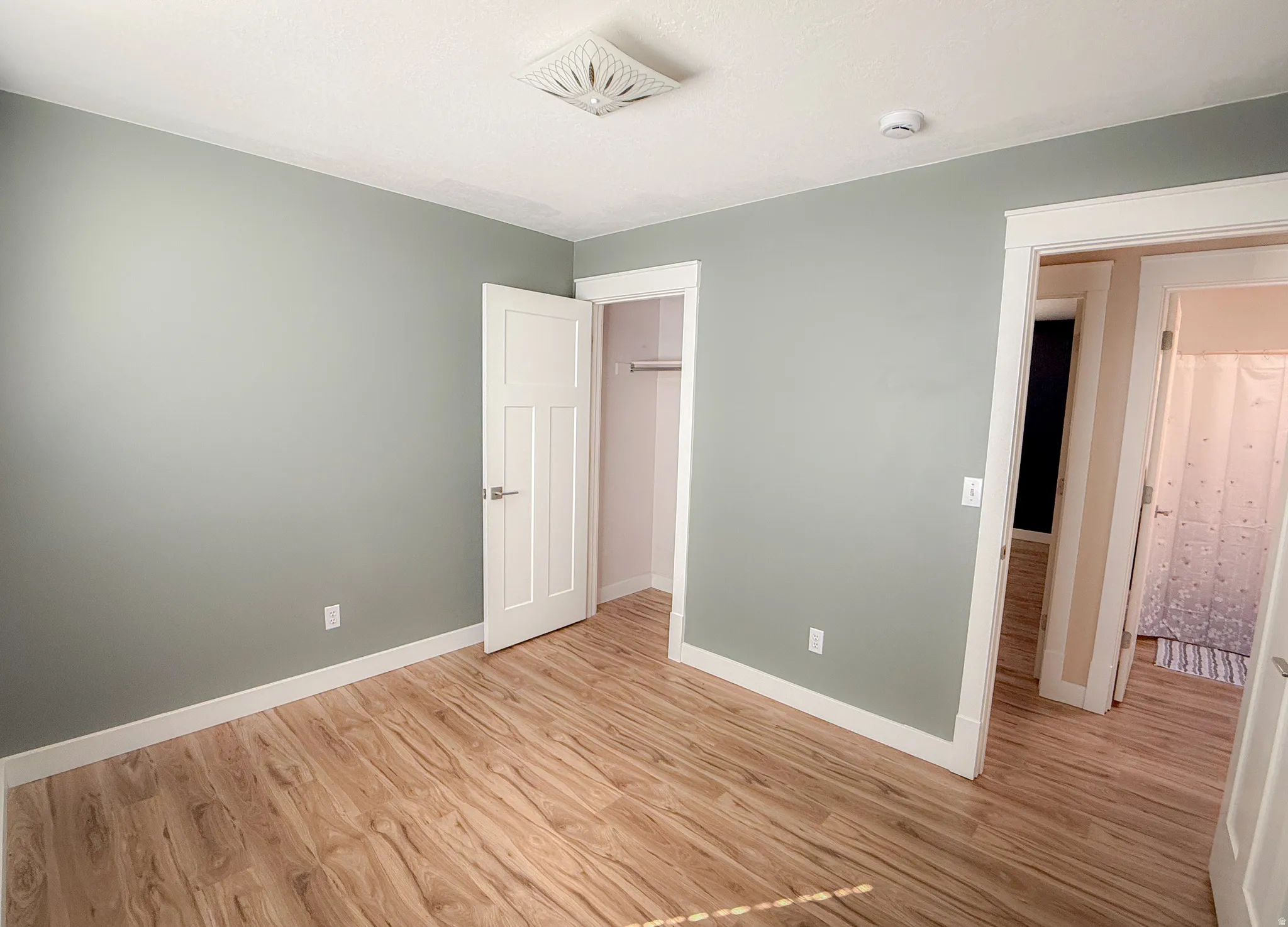 Interior room featuring light wood-finish flooring, light green walls, white baseboards, and a white ceiling with a flush-mount light fixture
