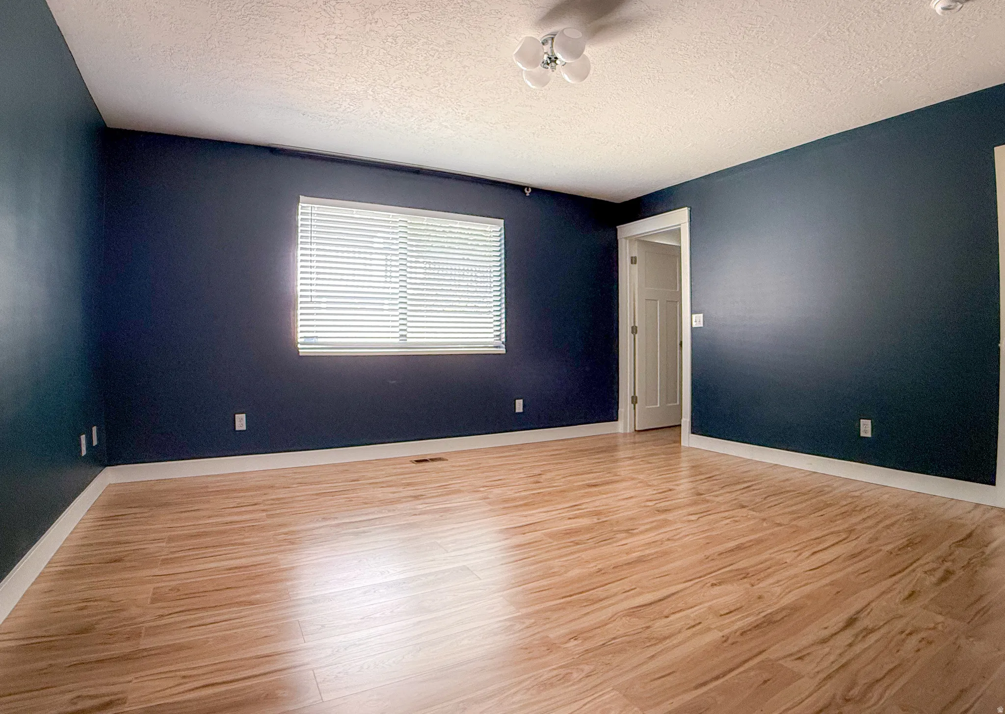 Spacious interior room featuring rich navy walls and light wood-finish flooring