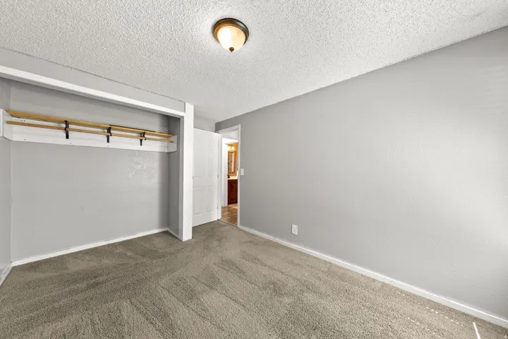 Carpeted flooring, light gray walls, built-in closet storage, ceiling-mounted light fixture, white trim throughout
