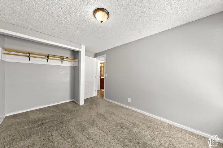 Carpeted flooring, light gray walls, built-in closet storage, ceiling-mounted light fixture, white trim throughout
