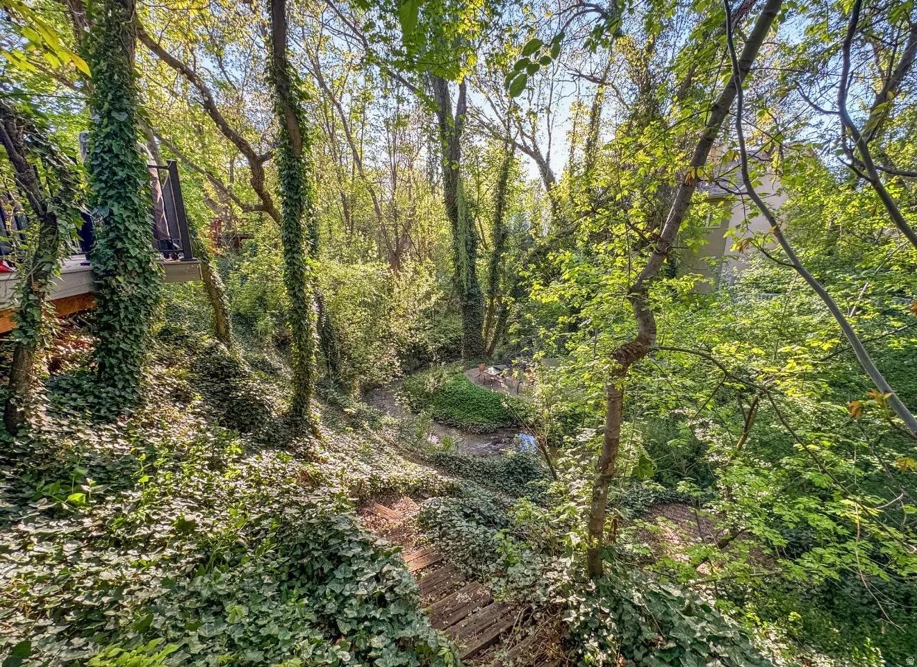Wooded landscape featuring a winding path, a natural creek, and a private deck structure
