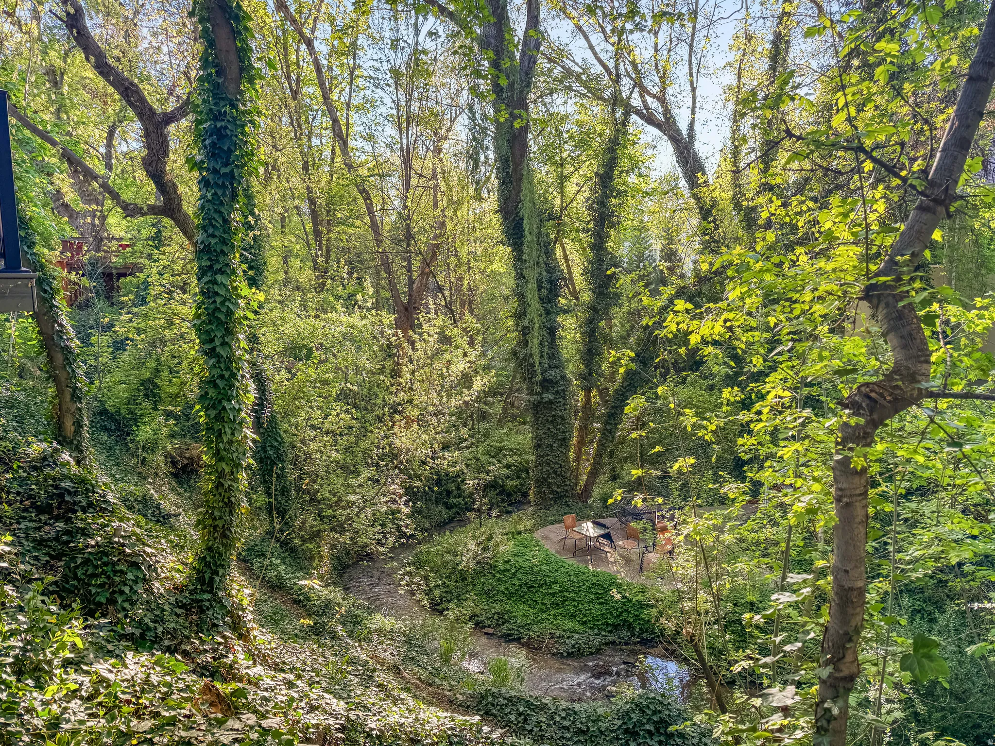 Nature