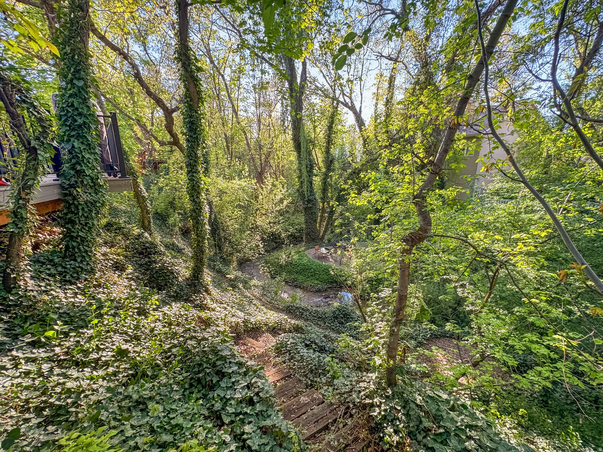Wooded exterior with extensive tree coverage and natural groundcover