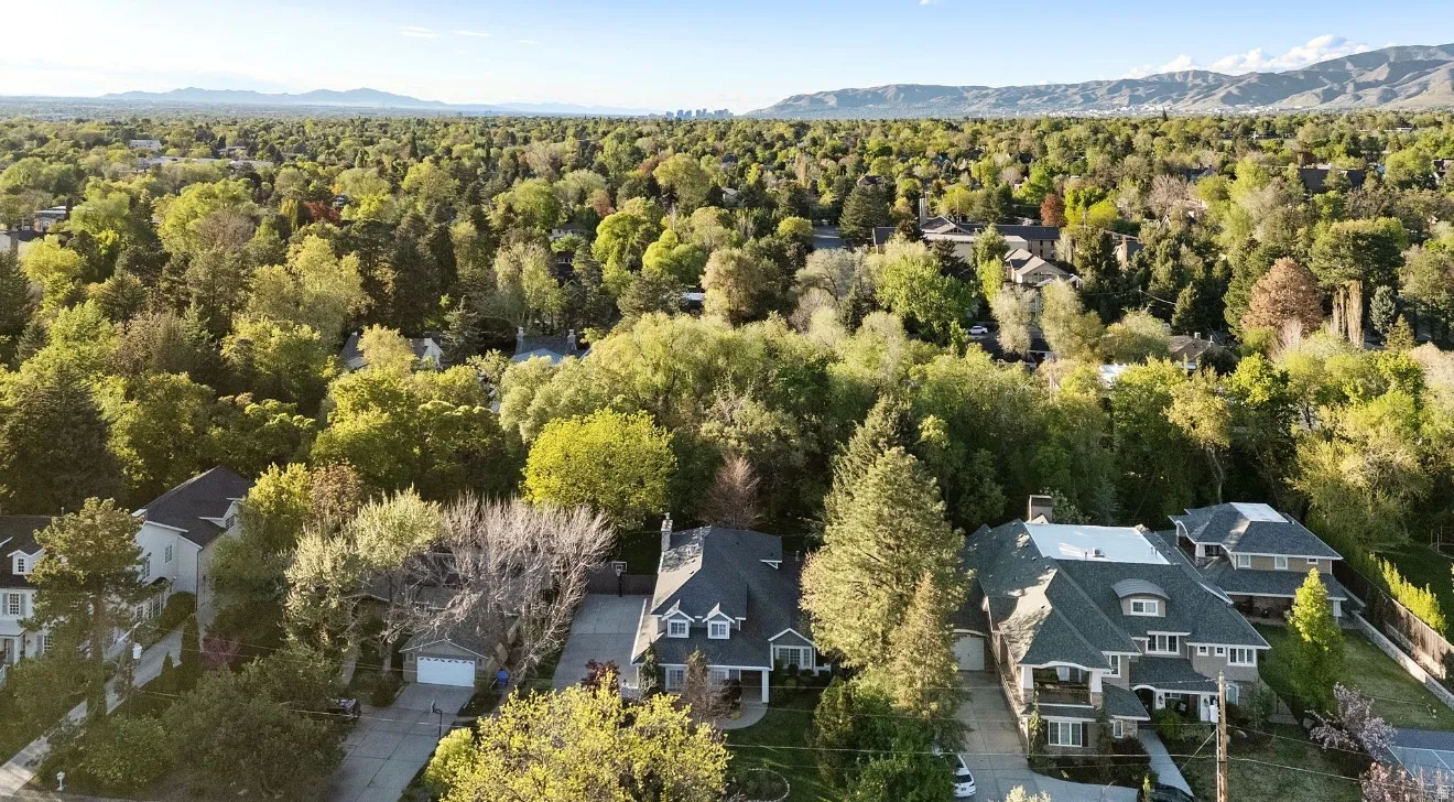 Aerial perspective showcasing a residential neighborhood with extensive mature tree coverage