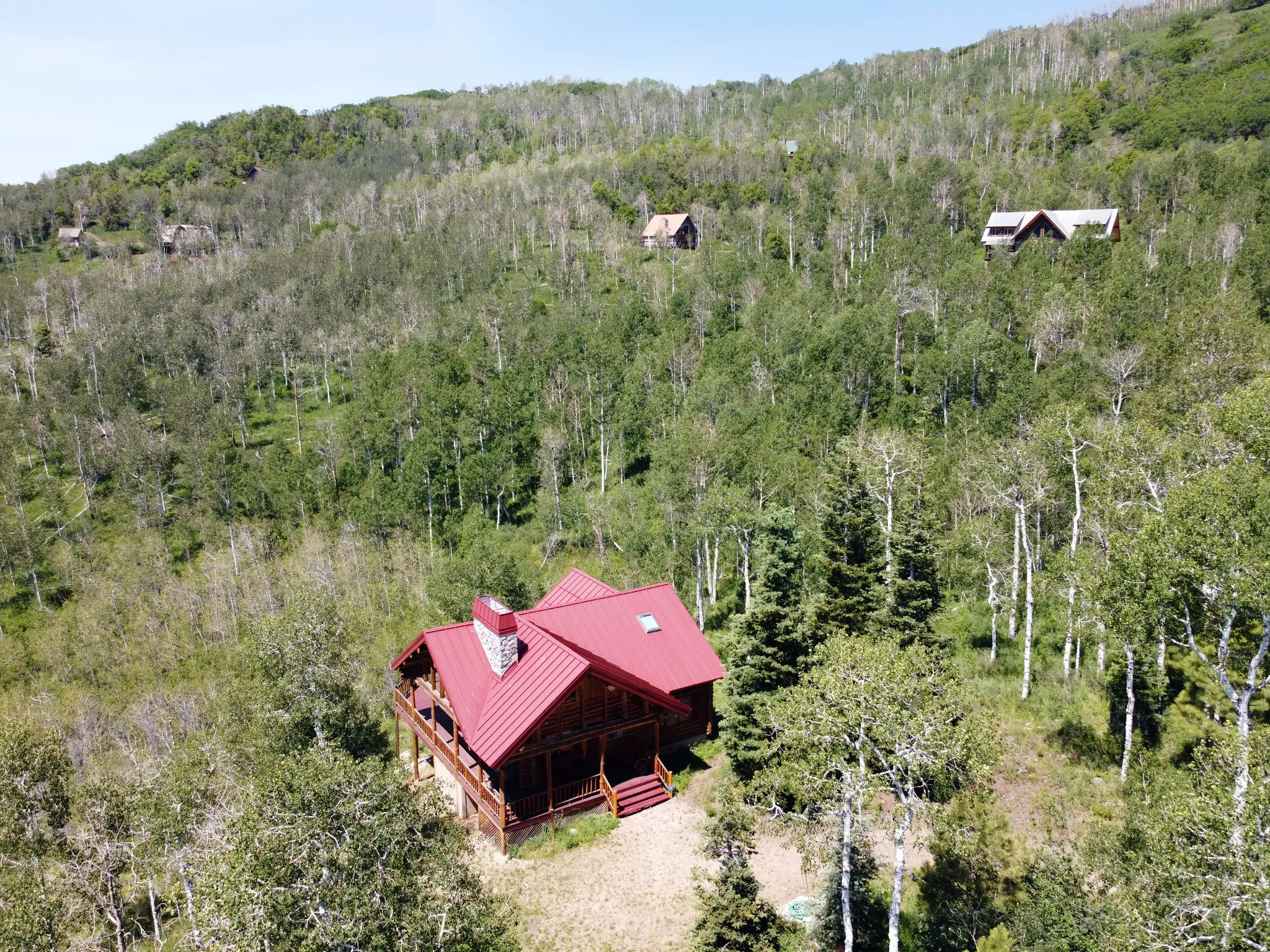 Mature Lodge Poles, and White Firs surround the cabin.