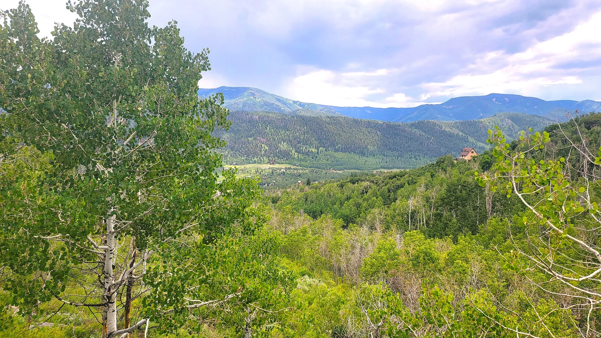 Summer view off of the deck.