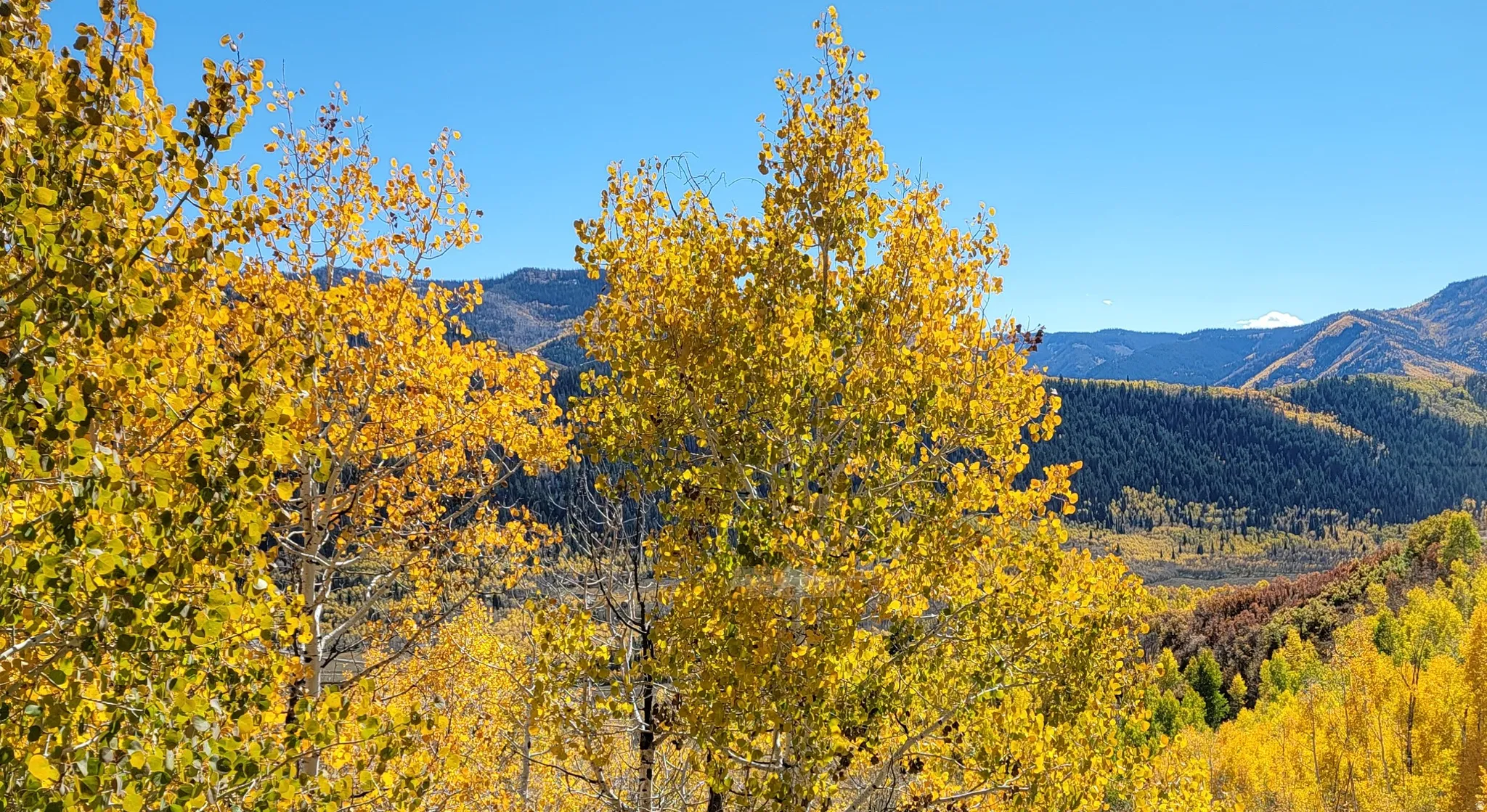 Fall view off of the deck.