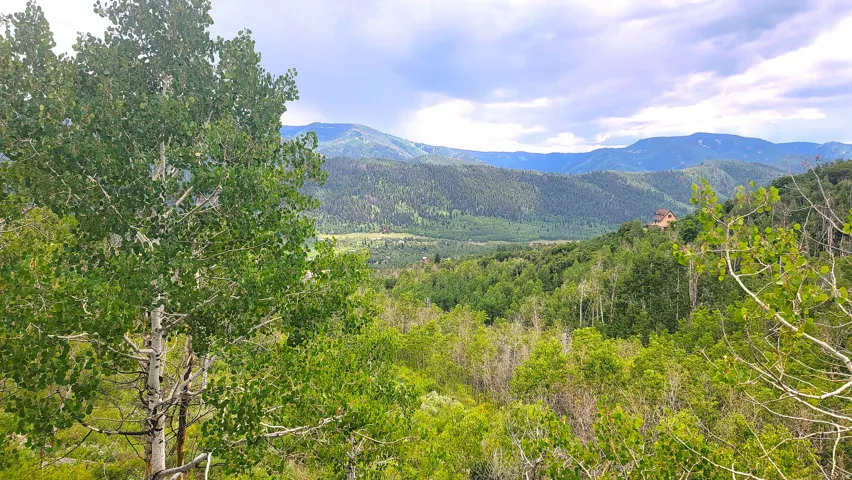 Summer view off of the deck.