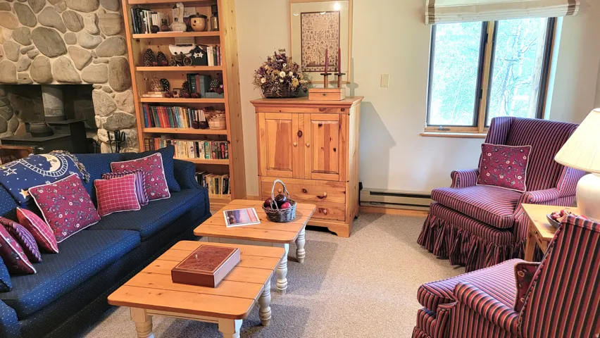Seating area with a media cabinet, roman shades, a built in bookcase and wool Berber carpet.