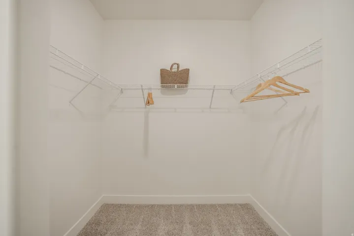 Walk-in closet featuring wire shelving, white walls, and carpet flooring