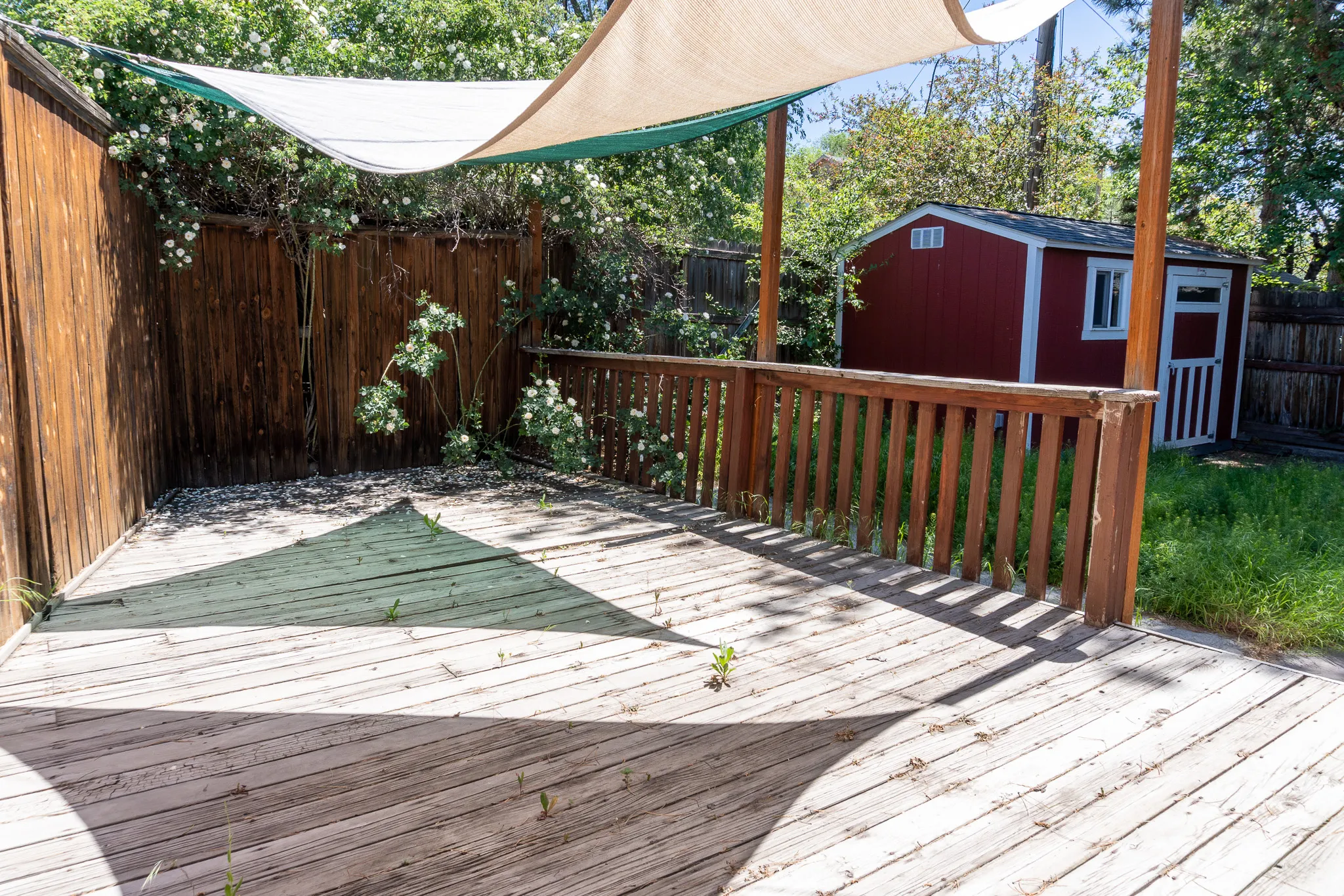 Outdoor wood deck featuring a shade sail canopy, wood perimeter fencing, a red storage shed with white trim, and surrounding greenery