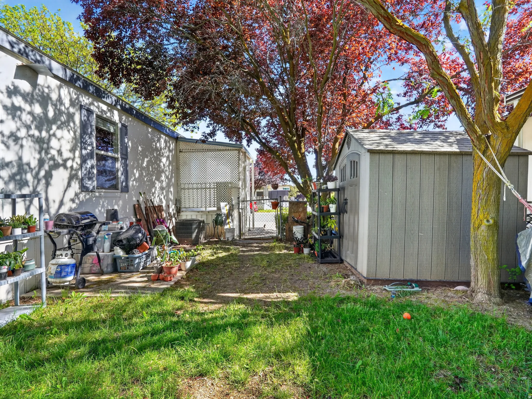 Side yard featuring a portable storage shed, mature trees, a chain-link fence, and a patio area